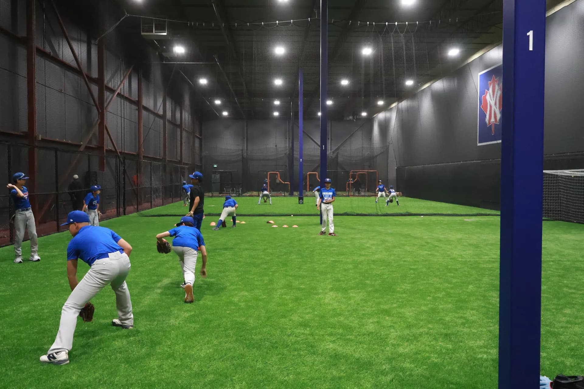 Players practising fielding on the indoor turf